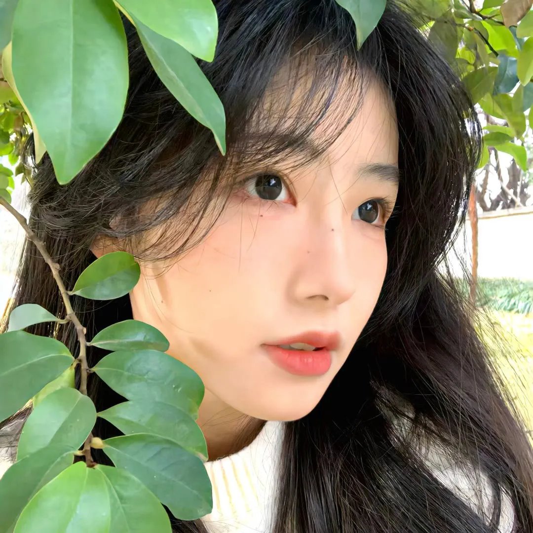 纽约灾星第一季